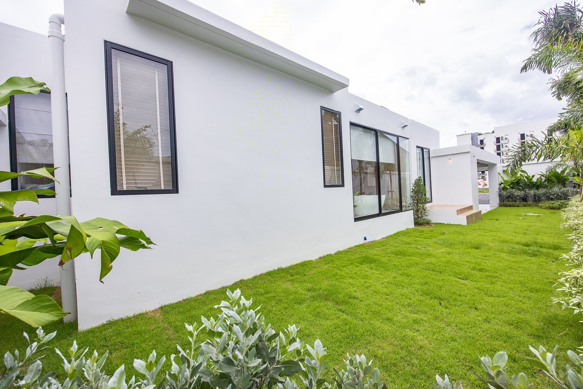 Monetaria Exterior (41)