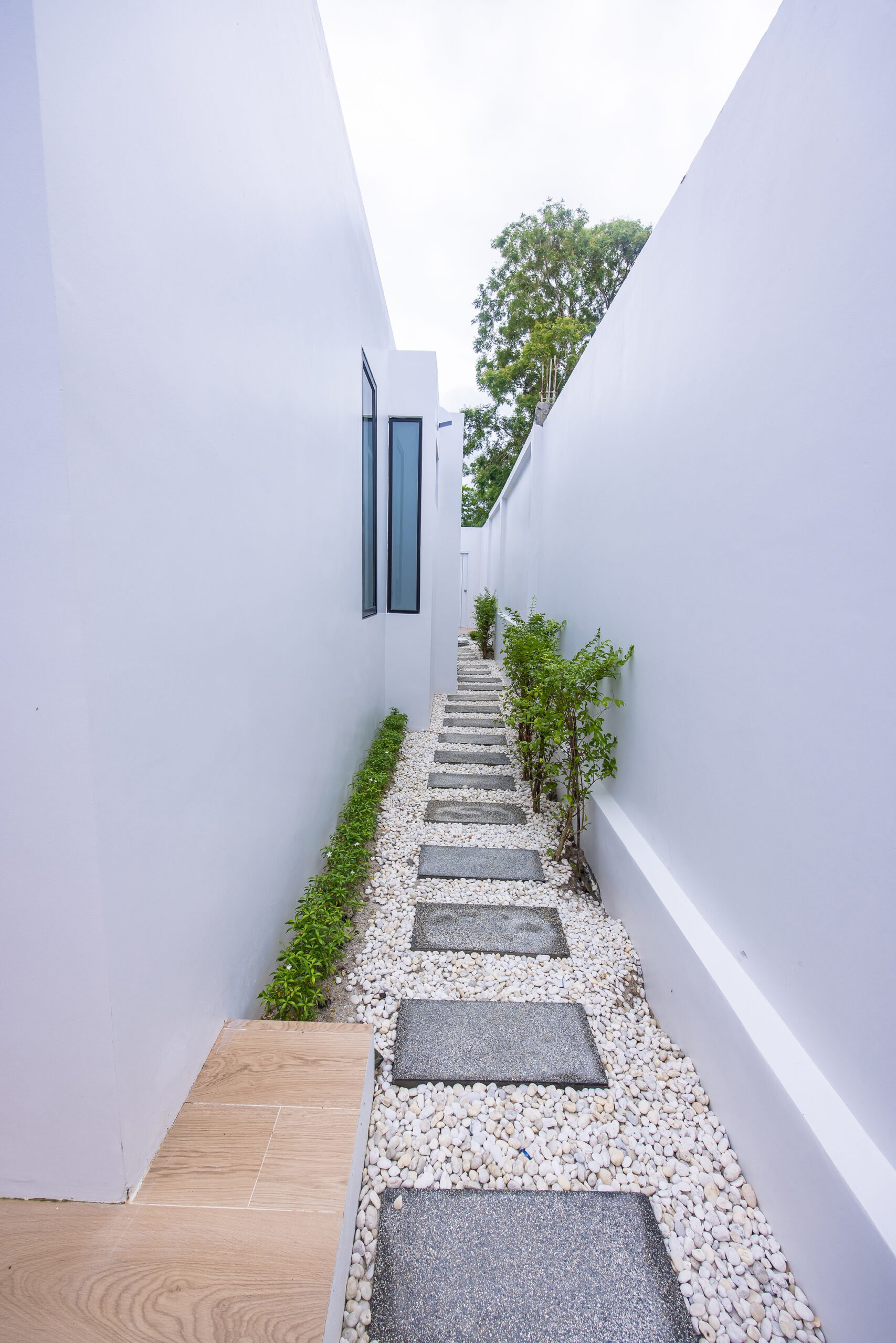 Monetaria Exterior (46)